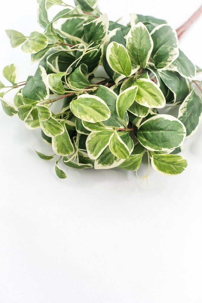 Artificial Euonymus Bush - Greenery MarketgreeneryMTF23612 GRWH