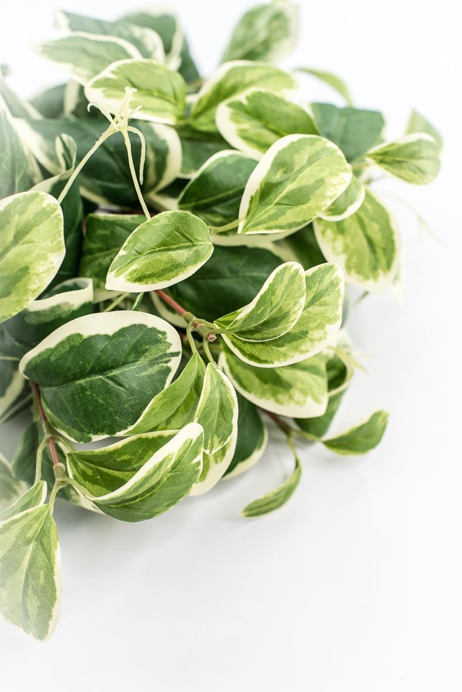 Artificial Euonymus Bush - Greenery MarketgreeneryMTF23612 GRWH