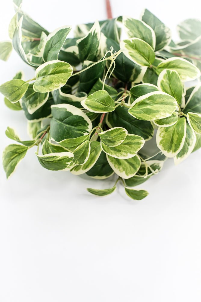 Artificial Euonymus Bush - Greenery MarketgreeneryMTF23612 GRWH