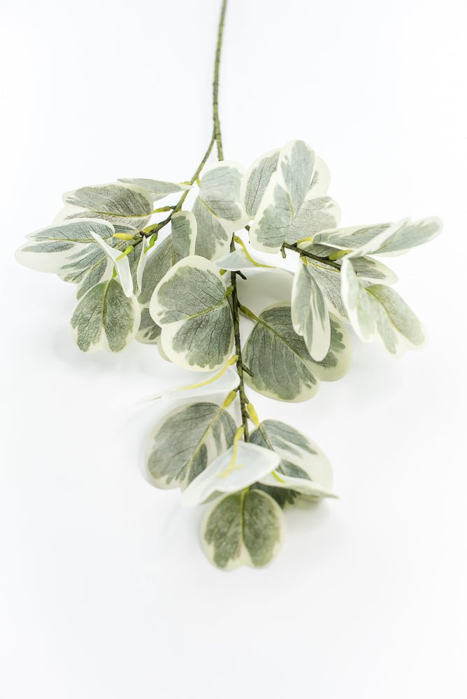 Artificial Euonymus Spray - Greenery MarketgreeneryMTF24454