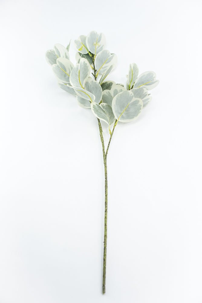 Artificial Euonymus Spray - Greenery MarketgreeneryMTF24454