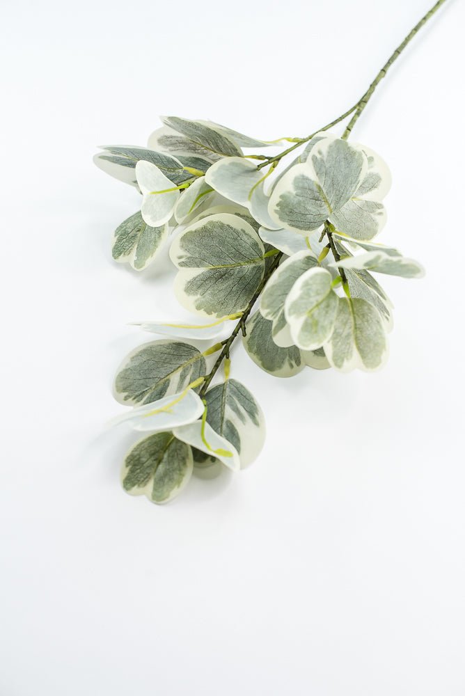 Artificial Euonymus Spray - Greenery MarketgreeneryMTF24454
