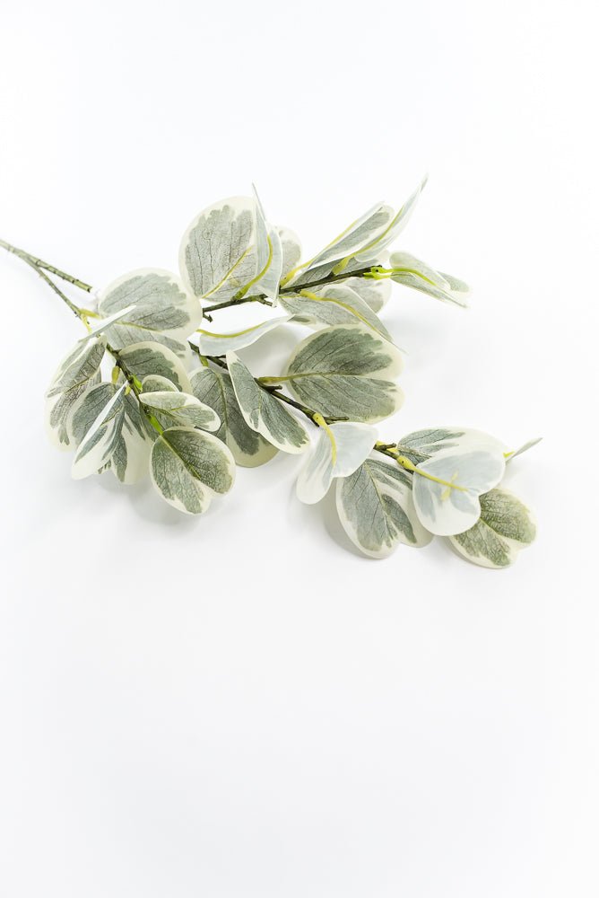 Artificial Euonymus Spray - Greenery MarketgreeneryMTF24454