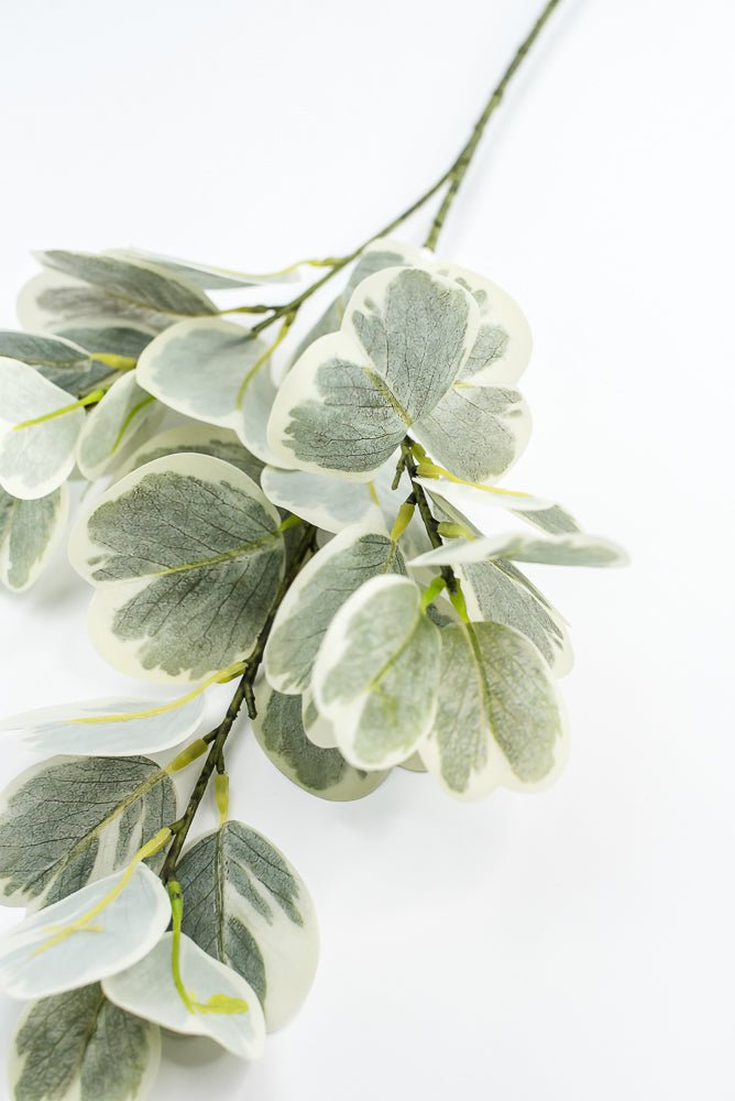Artificial Euonymus Spray - Greenery MarketgreeneryMTF24454