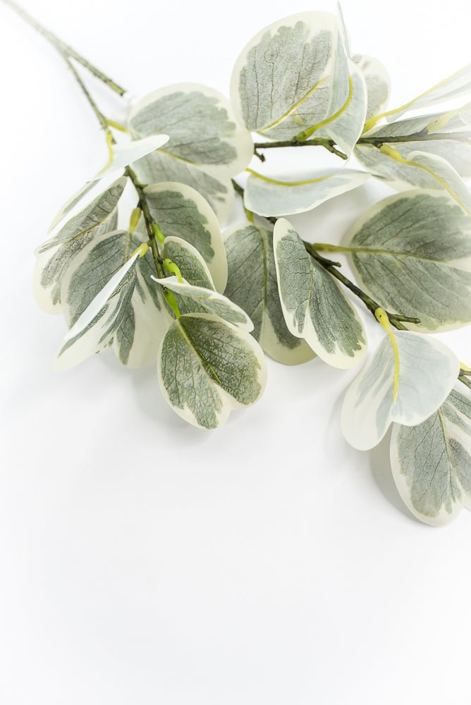 Artificial Euonymus Spray - Greenery MarketgreeneryMTF24454