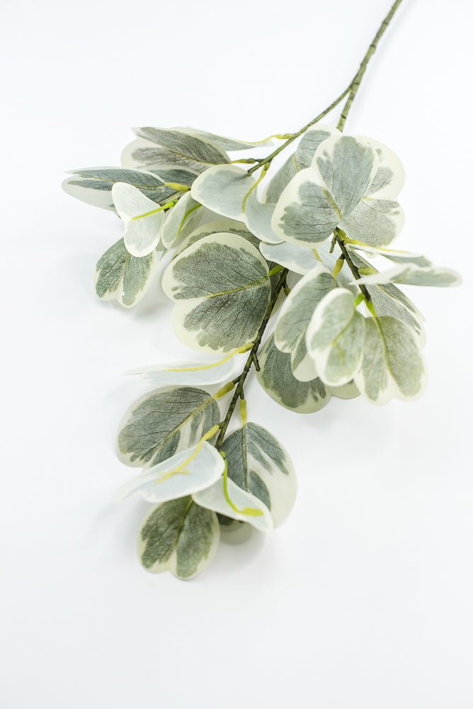 Artificial Euonymus Spray - Greenery MarketgreeneryMTF24454