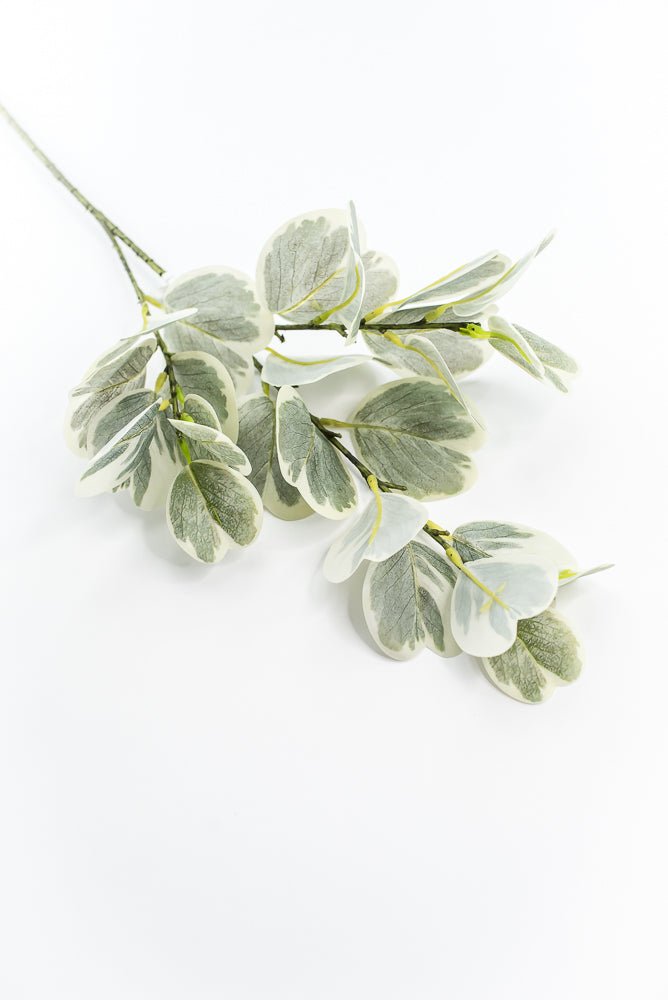 Artificial Euonymus Spray - Greenery MarketgreeneryMTF24454