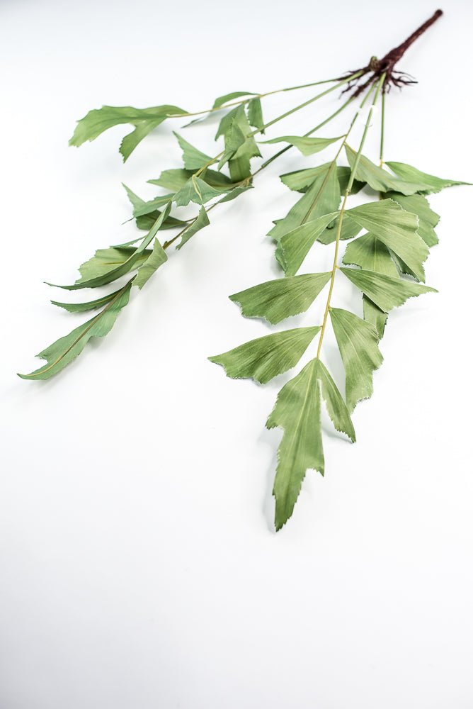 Artificial, Fishtail Fern Bush - Greenery MarketPBF216 - GR