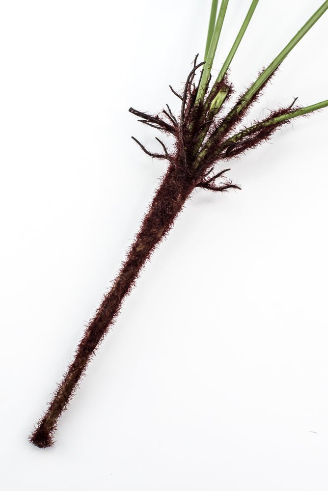 Artificial, Fishtail Fern Bush - Greenery MarketPBF216 - GR