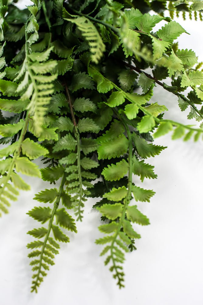 Artificial, Forest Fern Bush - Greenery MarketPBF540 - GR