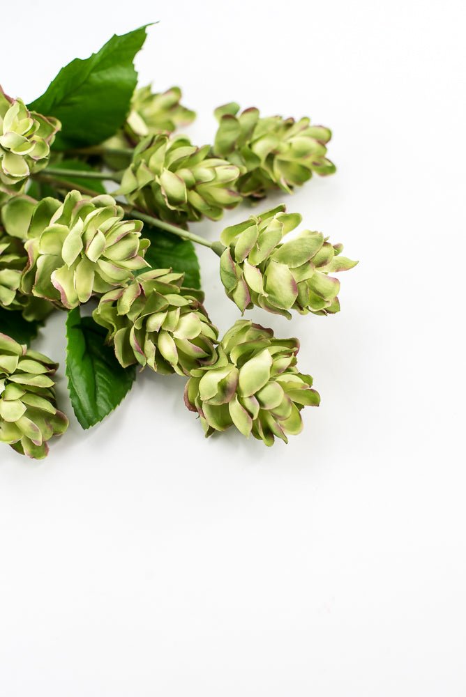 Artificial, hops spray, green pink - Greenery MarketArtificial Flora2268019LG