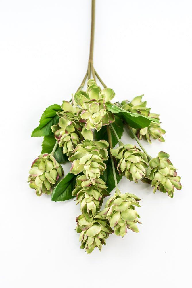 Artificial, hops spray, green pink - Greenery MarketArtificial Flora2268019LG