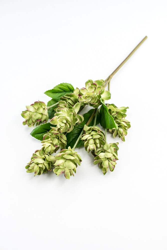 Artificial, hops spray, green pink - Greenery MarketArtificial Flora2268019LG