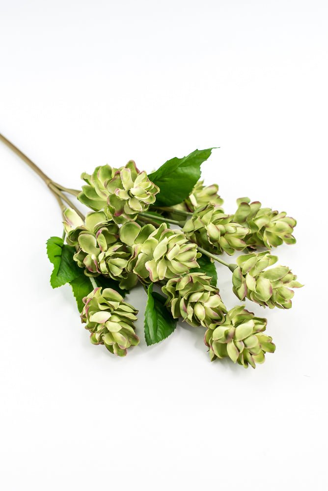 Artificial, hops spray, green pink - Greenery MarketArtificial Flora2268019LG
