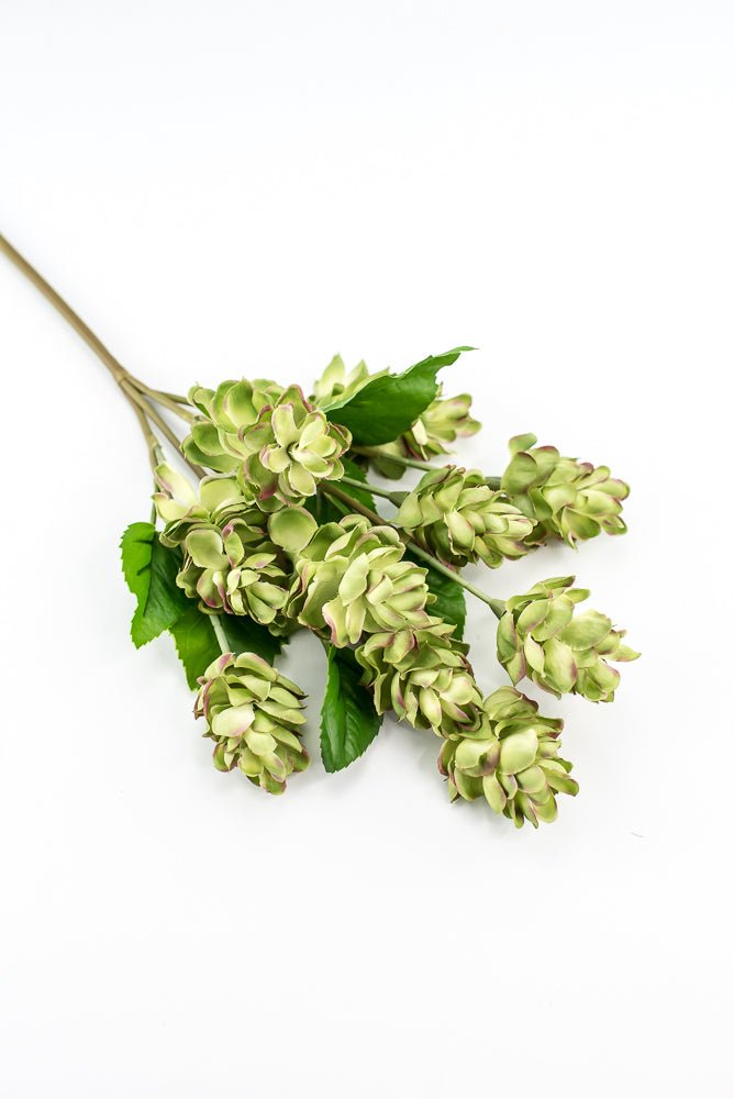 Artificial, hops spray, green pink - Greenery MarketArtificial Flora2268019LG