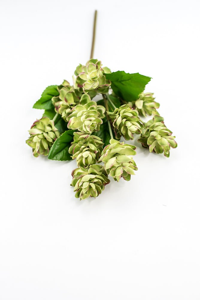 Artificial, hops spray, green pink - Greenery MarketArtificial Flora2268019LG