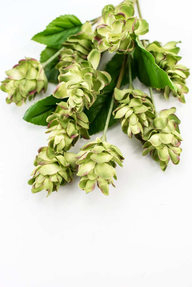 Artificial, hops spray, green pink - Greenery MarketArtificial Flora2268019LG