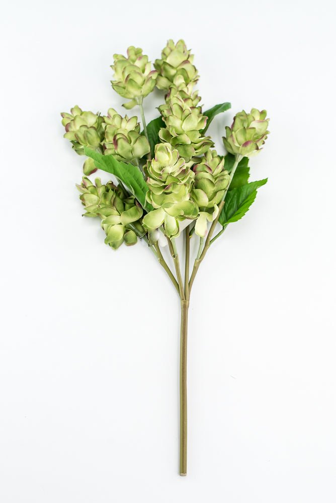 Artificial, hops spray, green pink - Greenery MarketArtificial Flora2268019LG