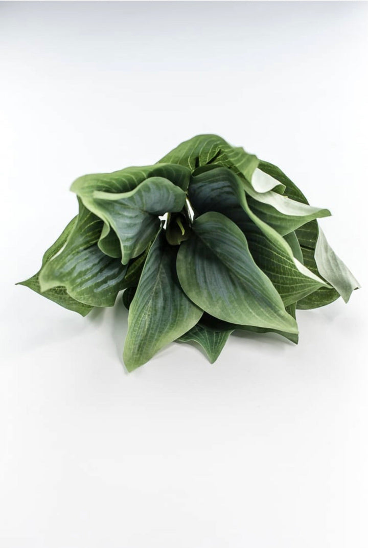 Artificial Hosta leaf plant - Greenery MarketArtificial Florafl5070 - ggy