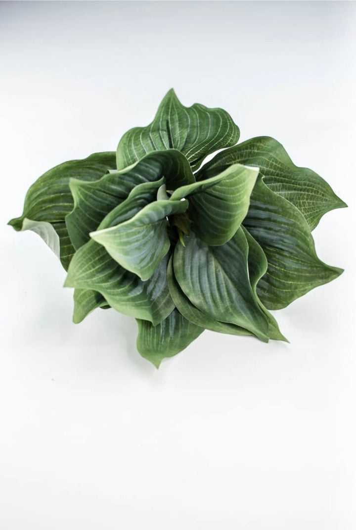 Artificial Hosta leaf plant - Greenery MarketArtificial Florafl5070 - ggy