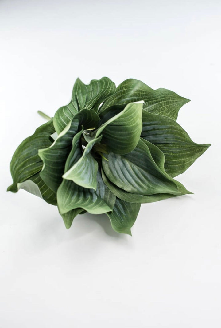 Artificial Hosta leaf plant - Greenery MarketArtificial Florafl5070 - ggy