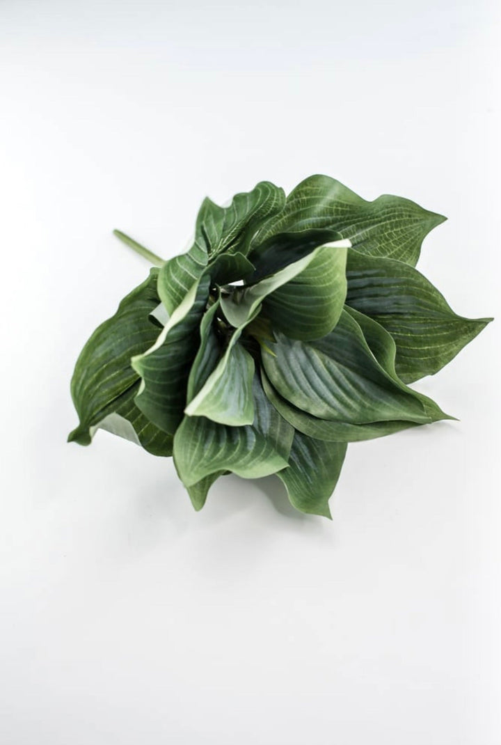 Artificial Hosta leaf plant - Greenery MarketArtificial Florafl5070 - ggy