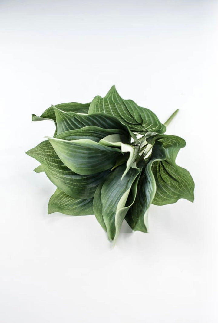 Artificial Hosta leaf plant - Greenery MarketArtificial Florafl5070 - ggy