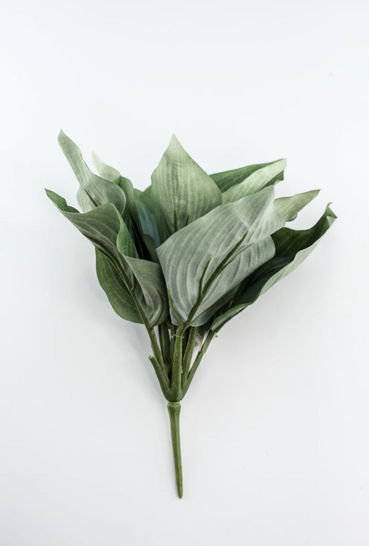 Artificial Hosta leaf plant - Greenery MarketArtificial Florafl5070 - ggy