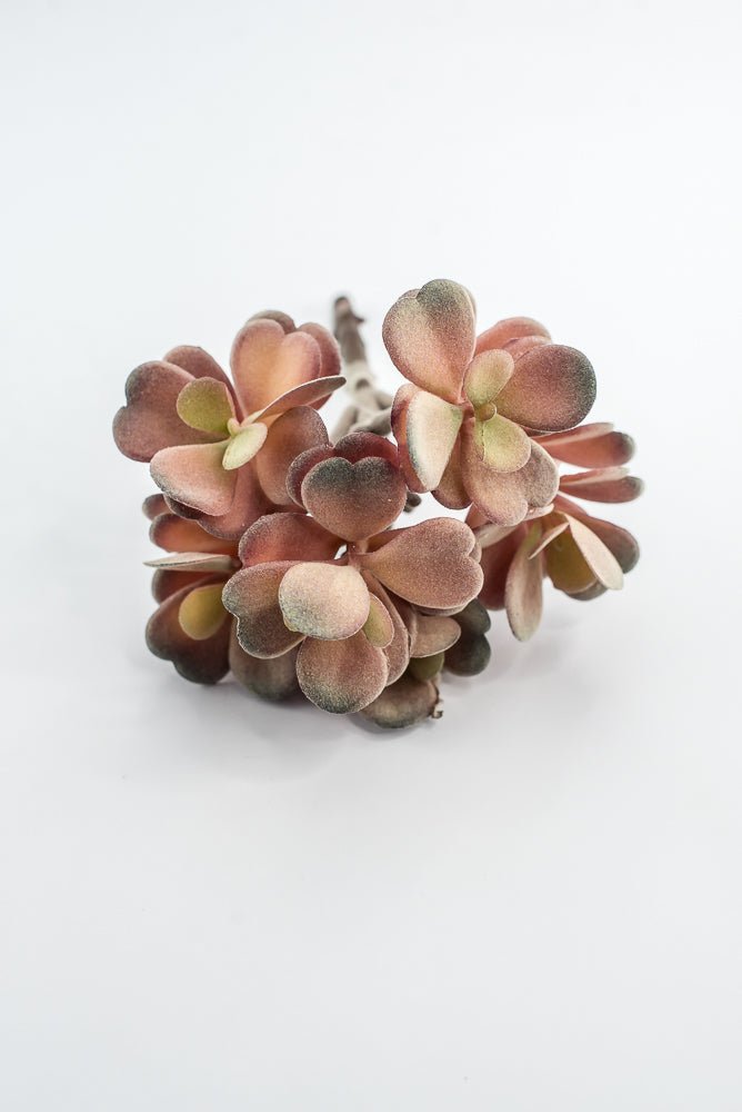 Artificial Jade Succulent Pick - Pink - Greenery MarketMTF24474 DERO