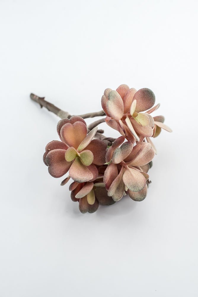 Artificial Jade Succulent Pick - Pink - Greenery MarketMTF24474 DERO