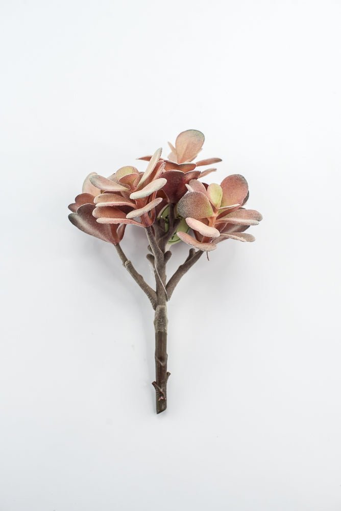 Artificial Jade Succulent Pick - Pink - Greenery MarketMTF24474 DERO
