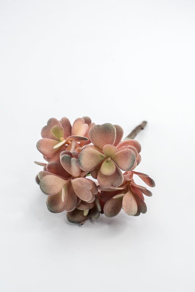 Artificial Jade Succulent Pick - Pink - Greenery MarketMTF24474 DERO