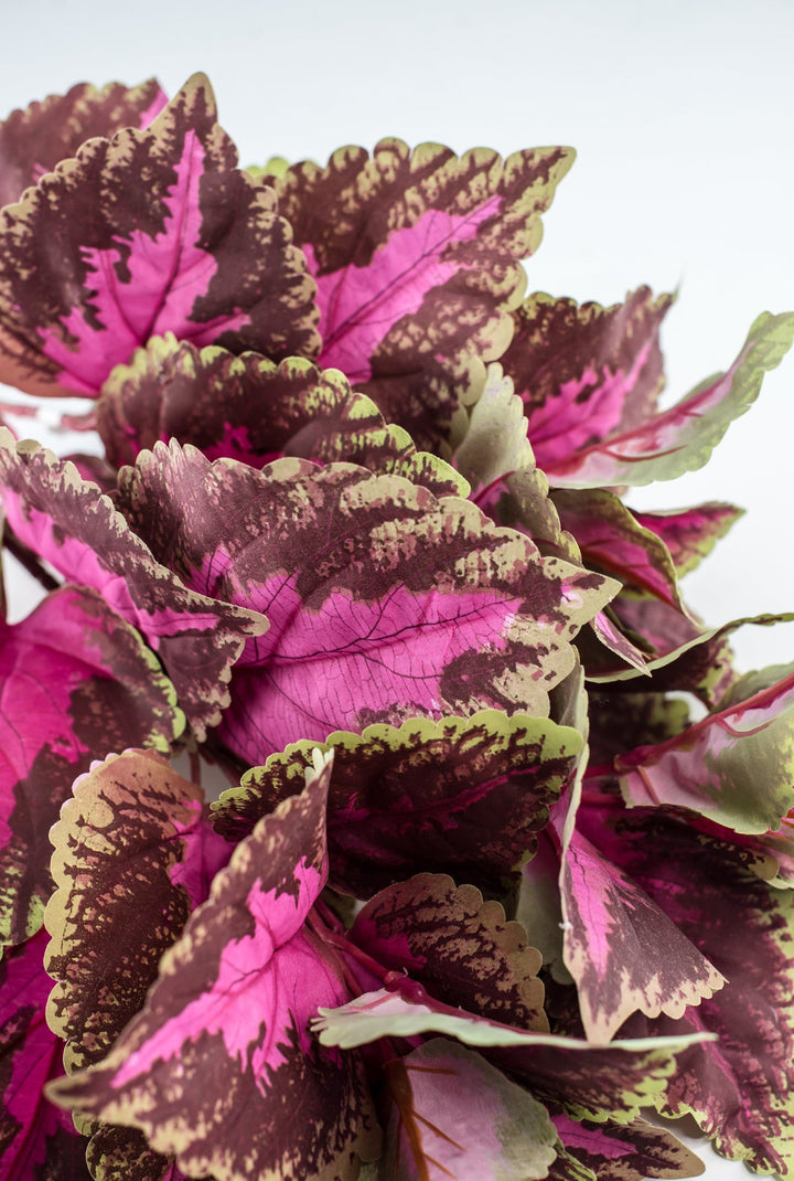 Artificial Large Leaf Coleus Leaves Bush - Greenery MarketPBC199 - FU/GR