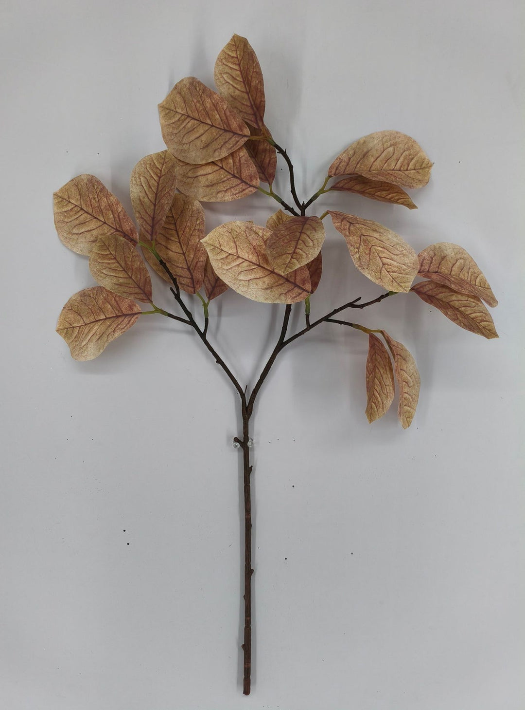 Artificial Magnolia Leaves Spray - beige brown - Greenery MarketArtificial Flora85320 - BEIGE