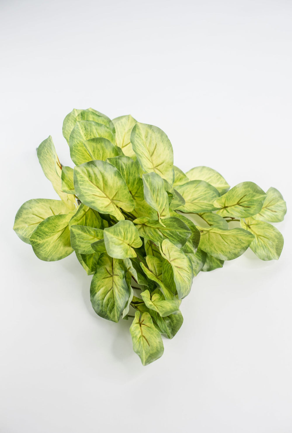 Artificial mini alacosia bush - Greenery MarketgreeneryMTF24191