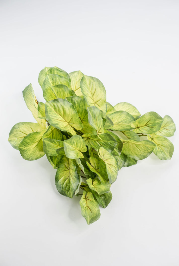 Artificial mini alacosia bush - Greenery MarketgreeneryMTF24191