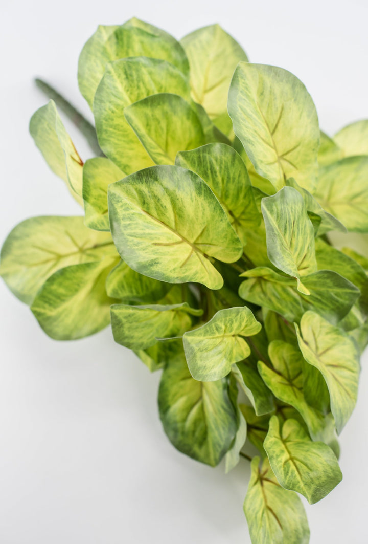 Artificial mini alacosia bush - Greenery MarketgreeneryMTF24191