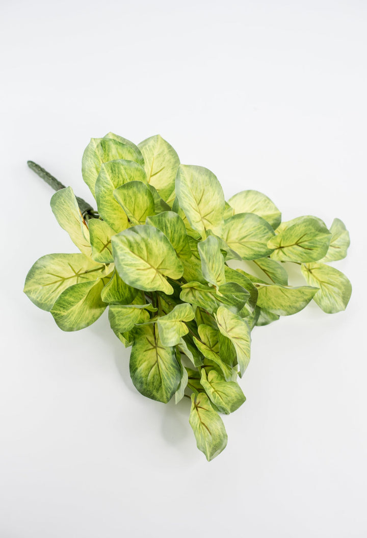 Artificial mini alacosia bush - Greenery MarketgreeneryMTF24191