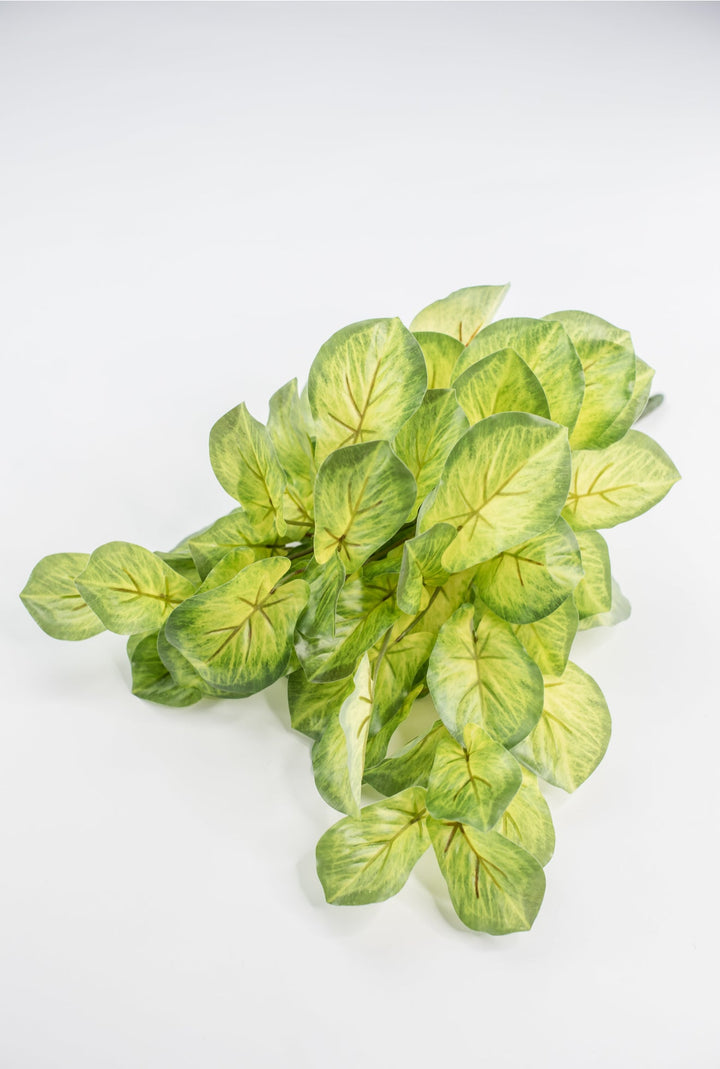 Artificial mini alacosia bush - Greenery MarketgreeneryMTF24191