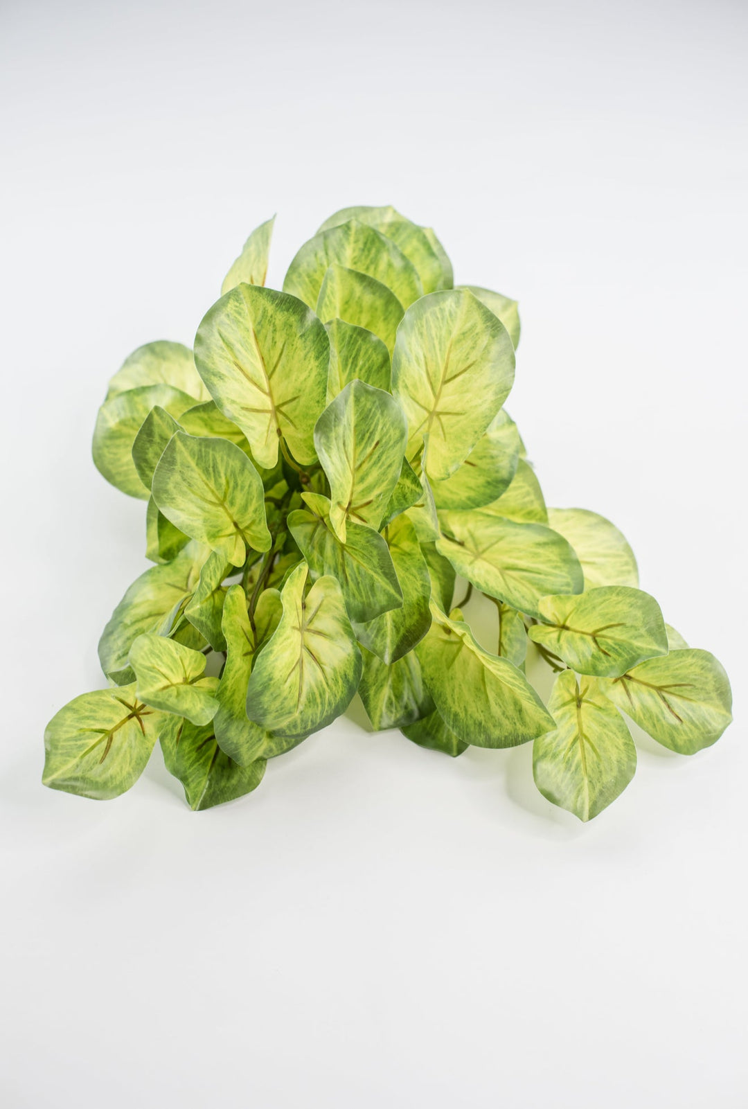 Artificial mini alacosia bush - Greenery MarketgreeneryMTF24191