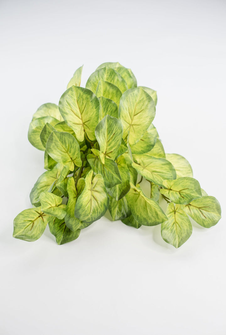 Artificial mini alacosia bush - Greenery MarketgreeneryMTF24191