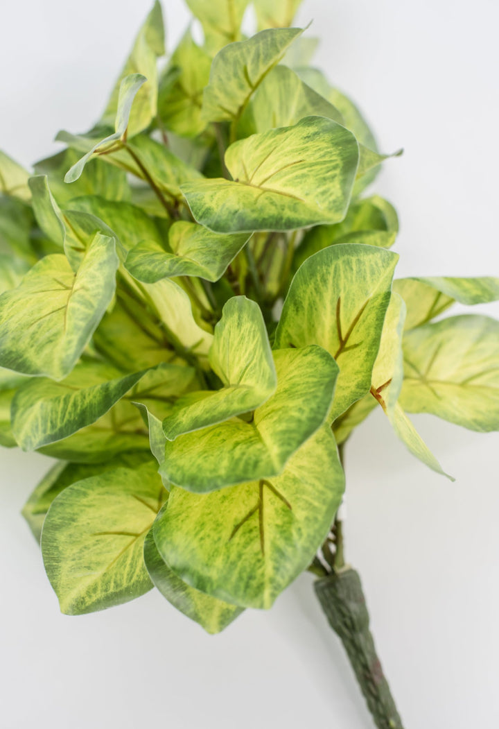 Artificial mini alacosia bush - Greenery MarketgreeneryMTF24191