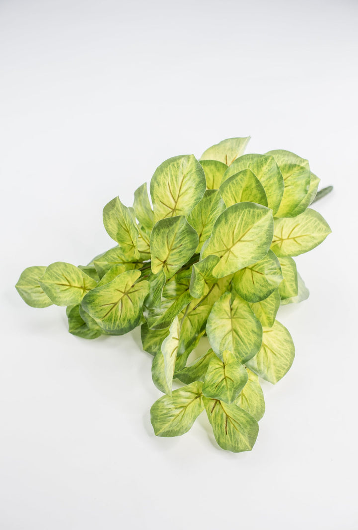 Artificial mini alacosia bush - Greenery MarketgreeneryMTF24191