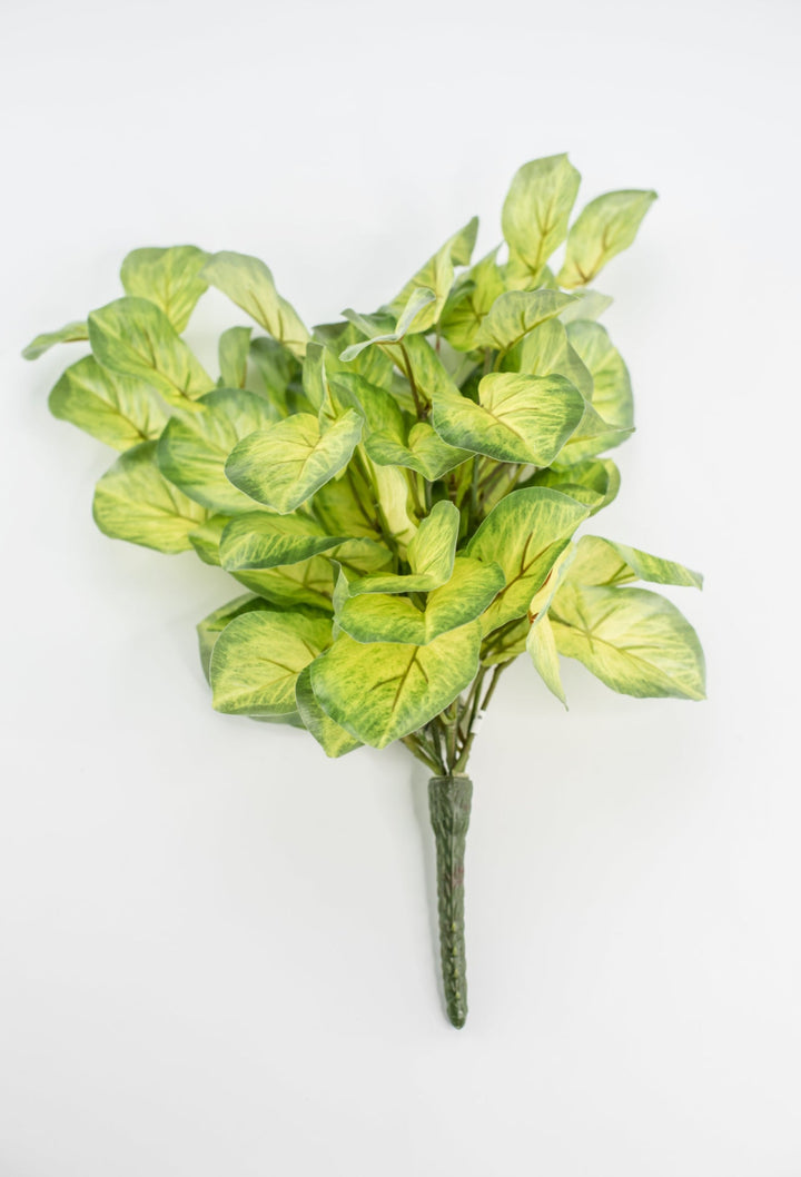 Artificial mini alacosia bush - Greenery MarketgreeneryMTF24191