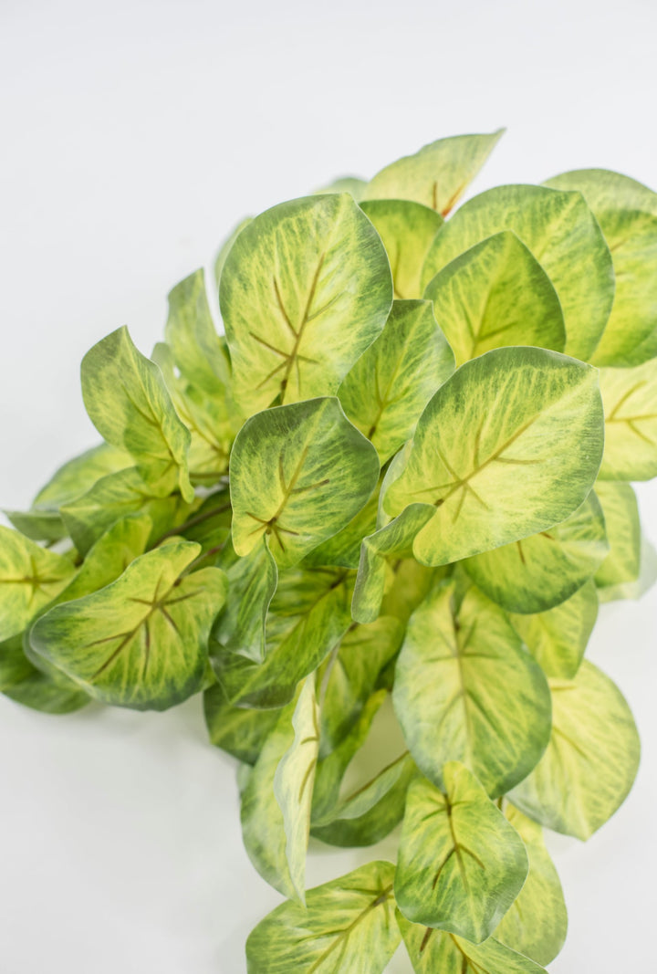 Artificial mini alacosia bush - Greenery MarketgreeneryMTF24191