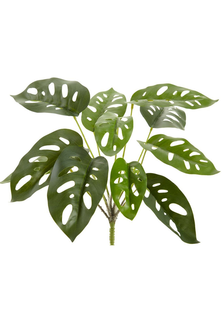 Artificial, Monstera Leaves Spray - Greenery MarketPBM429 - GR