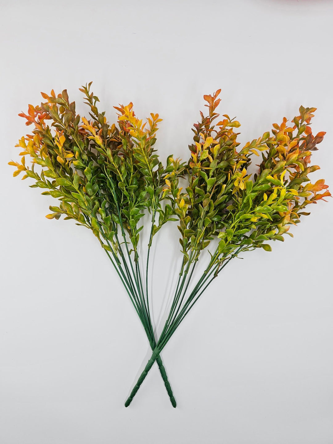 Artificial orange tipped boxwood greenery x 2 bushes - Greenery Marketgreenery43235