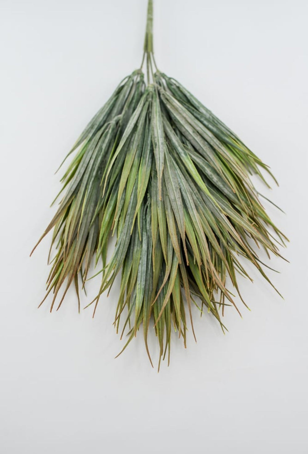 Artificial, orange tipped, fine grass bush - Greenery Marketartificial flowers26812