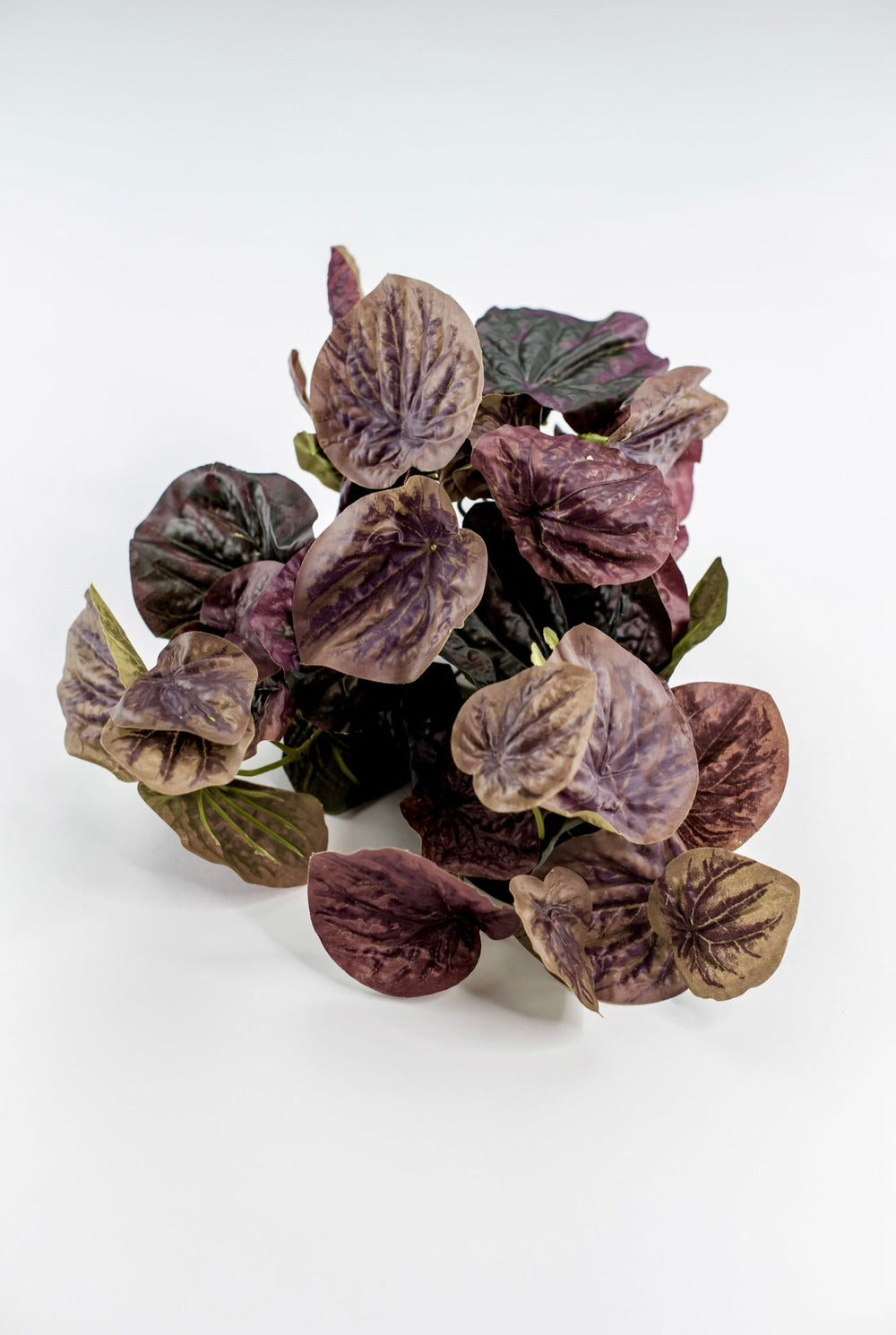 Artificial peperomia caperata bush - natural touch - Greenery MarketgreeneryMTF22886 BURG