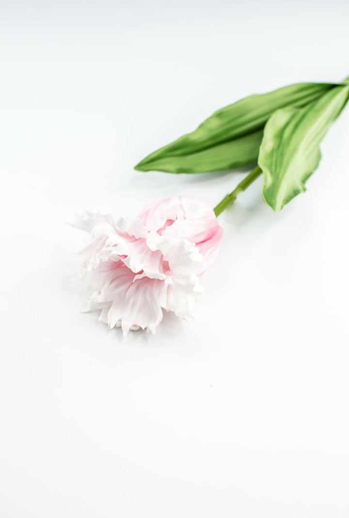 Artificial, pink, parrot tulip stem - Greenery MarketArtificial Flora2260032LP